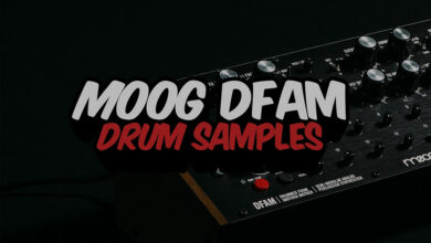 Moog DFAM Drum Samples