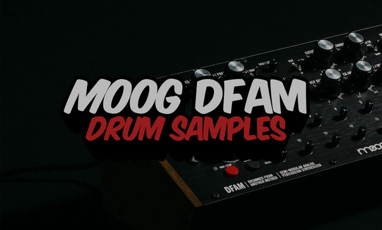 Moog DFAM Drum Samples